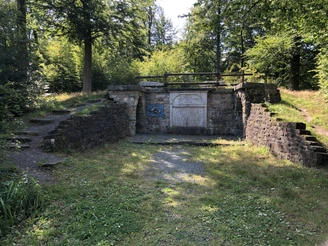 Ruinen einer alten Steinstruktur, umgeben von üppigem Waldbewuchs bei sonnigem Wetter.