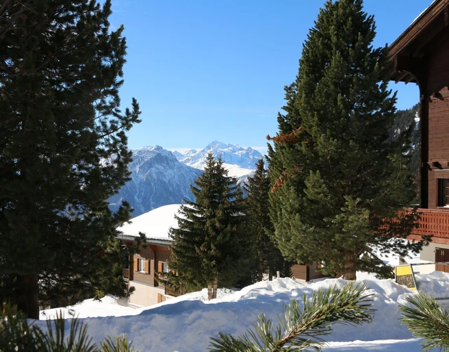 Blick vom Aussensitzplatz (südl. Alpenkette)