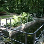 Tretbecken in Heiligenberg, umgeben von grünen Bäumen und ausgestattet mit praktischen Handläufen.