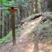 Karlsschanze historischer Innenwall Holzwegweiser zur Karlsschanze im dichten Wald, umgeben von grünem Moos und Nadelbäumen.
