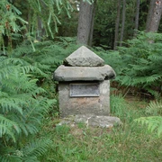Kleiner Herrgott Steinernes Marterl mit pyramidenförmigem Dach, umgeben von Farn und Nadelbäumen im Wald.