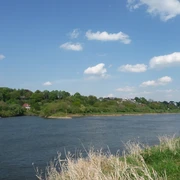 Badener Berge und Weser Grüne Hügel säumen das Ufer der friedlich fließenden Weser unter einem blauen, leicht bewölkten Himmel.