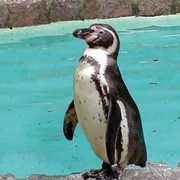 Tierpark Zittau