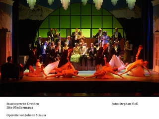 Die Fledermaus