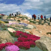 Lausitzer Findlingspark Nochten