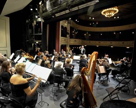 Neue Lausitzer Philharmonie