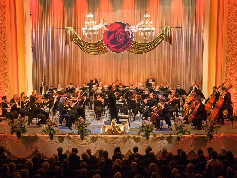 Erzgebirgisches Sinfonieorchester Aue