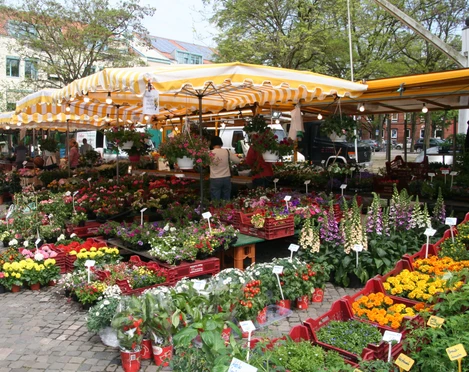 Achimer Wochenmarkt Stände auf dem Achimer Wochenmarkt bieten bunt blühende Blumen, frisches Gemüse und lebhafte Atmosphäre.