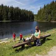Vogtlandsee