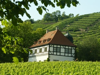 Weingut Hoflößnitz