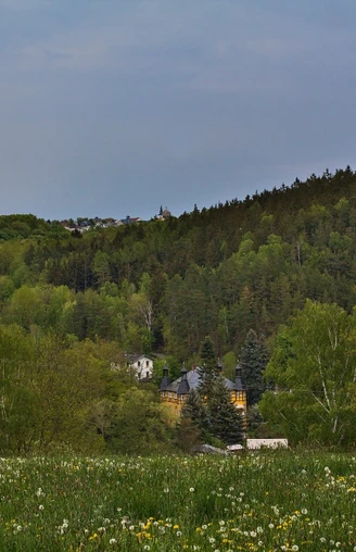 Blick ins Triebestal bei Hohenleuben