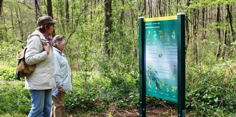 Informationstafel am Naturlehrpfad im Zwenkauer Eichholz