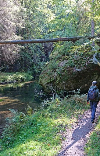 Im grenznahen Gebiet von Hinterhermsdorf