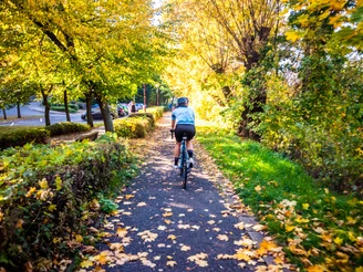 Herbst in Freital