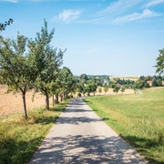 Alte Kleinbahnwege