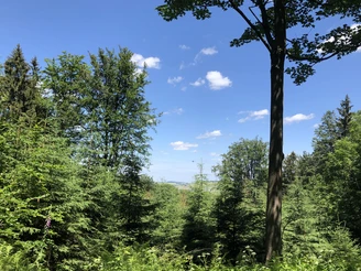 Ausblick unterhalb vom Unger