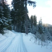 Loipe Amselpfad bei Wildenthal