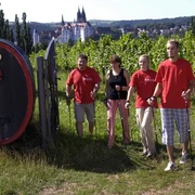 Nordic Walking entlang der Weinstrecke in Meißen