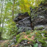 Poetenweg