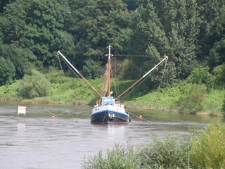 Aalschokker Drakenburg Ein traditionelles Fischerboot mit Netzen auf der Weser, umgeben von grüner Flusslandschaft.