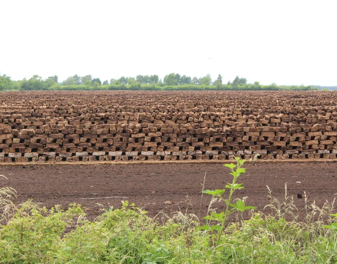 Lichtenmoor Torfstapel in einem ausgedehnten und flachen Landschaftsbereich, umgeben von Vegetation und bewölktem Himmel.