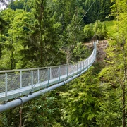 beatenberg-haengebruecke-gruener-wald.jpg
