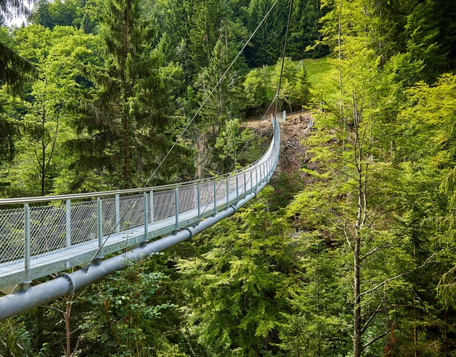 beatenberg-haengebruecke-gruener-wald.jpg
