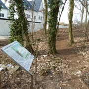 Hügelgrab in Baden Ein Wanderweg führt durch einen lichten Wald, gesäumt von Schildern, die historische Bedeutung erläutern.