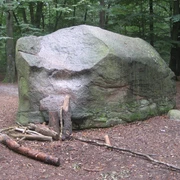 Giebichenstein Stöckse Großer Findling im Wald mit umgestürzten Holzstücken davor, eingebettet in ruhiger, natürlicher Umgebung.