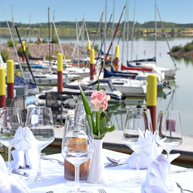 Terrasse mit Blick auf den Zwenkauer Hafen