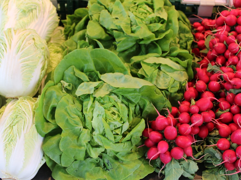 Wochenmarkt  Frisch geerntete Salatköpfe, knackige Radieschen und Chinakohl liegen in appetitlichen Reihungen.