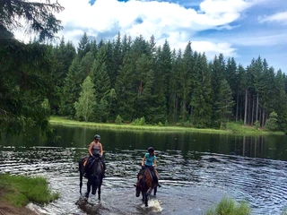 Reiter am Vogtlandsee