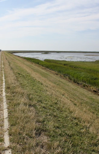 Der Weg auf dem Rantum Becken