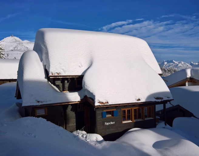 Winter 2018
