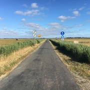autofreier Weg nach Morsum