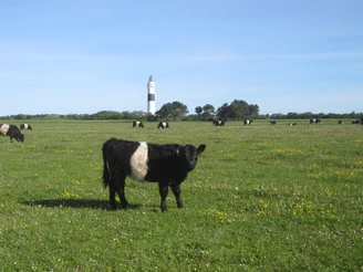 Etappenziel: der Kampener Leuchtturm