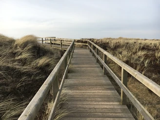 Holzweg mit Ausblick