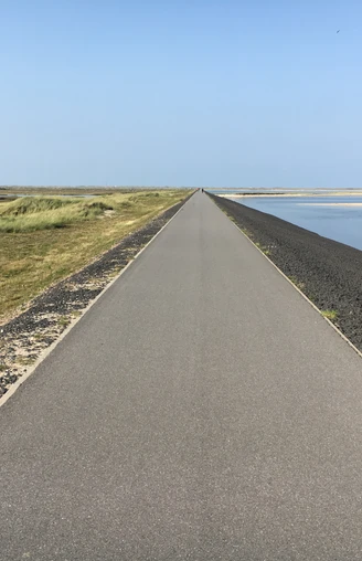 Mövenbergdeich in List