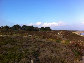 Braderuper Heide