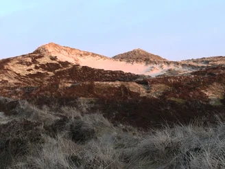 Dünenlandschaft im Westerländer Süden