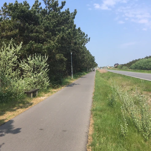 Fahrradweg in Rantum