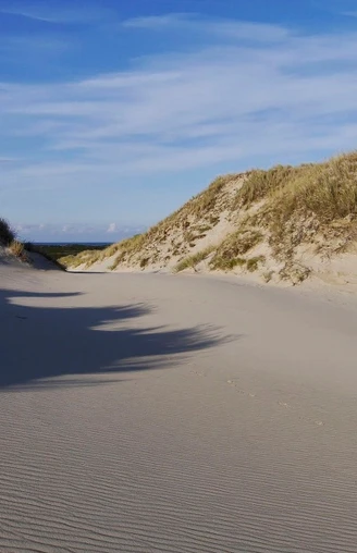 Die Wanderdünen auf Sylt sind in Deutschland einzigartig.