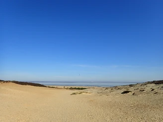 Der Weg zum Kliff führt durch "Klein Afrika", eine offene Dünenlandschaft.