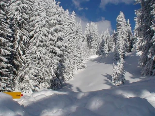 Zwischenalpe