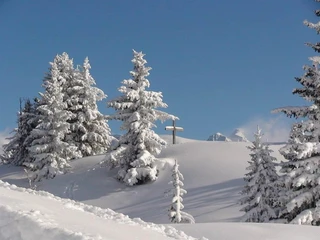 Winterstimmung