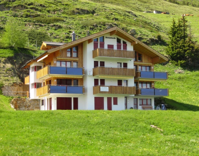 Alpenhaus Steinbock von Süden gesehen