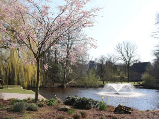 fruehlingsbeginn-kurpark.jpg