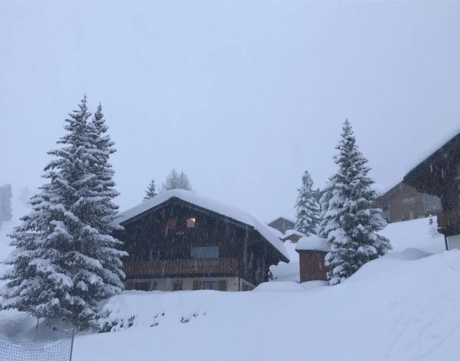 Chalet Viola