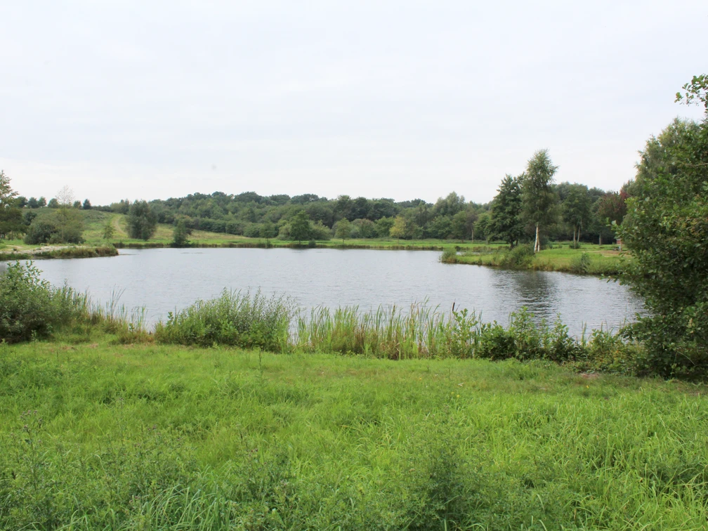 Grüner Uferbereich mit Blick auf einen See, umgeben von Bäumen und offenem Himmel bei leicht bewölktem Wetter.