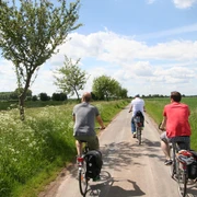 Drei Radfahrer fahren auf einem schmalen Weg durch eine grüne Landschaft mit Bäumen und Wolken.